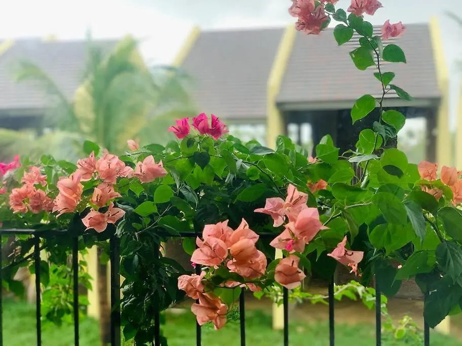 Apartment Casa Villa Hoi An - View Song Lang Man, Ho Boi Rieng Vietnam
