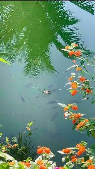 Casa Villa Hoi An - View Song Lang Man, Ho Boi Rieng
