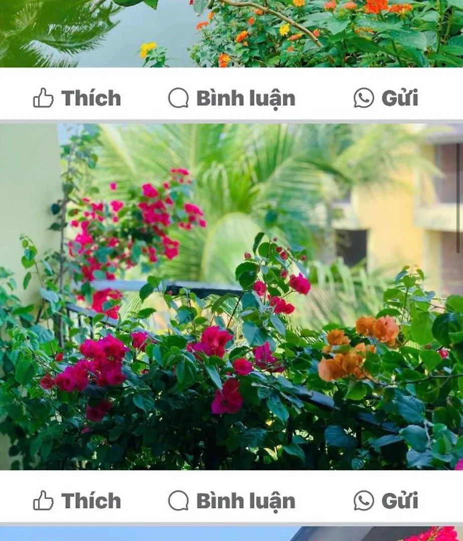 Apartment Casa Villa Hoi An - View Song Lang Man, Ho Boi Rieng